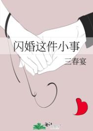 闪婚这件小事全文阅读