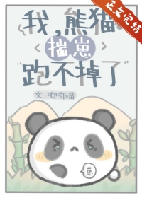 我,熊猫,揣崽跑不掉了全文阅读